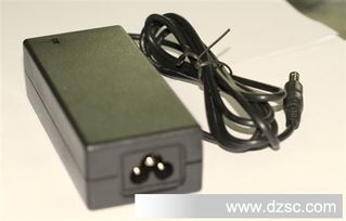 12V4A開(kāi)關(guān)電源適配器 植物燈專用電源的卓越之選